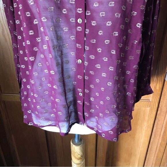 NWT Anthropologie Moulinette Soeurs Sheer Printed Long Sleeve Blouse - S - Picture 4 of 16